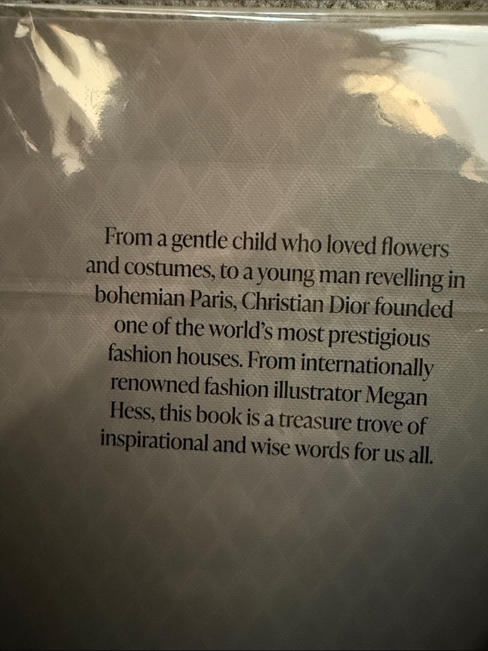 Words from a Fashion Icon - Christian Dior Hardcover Book by Megan Hess - Picture 2 of 2